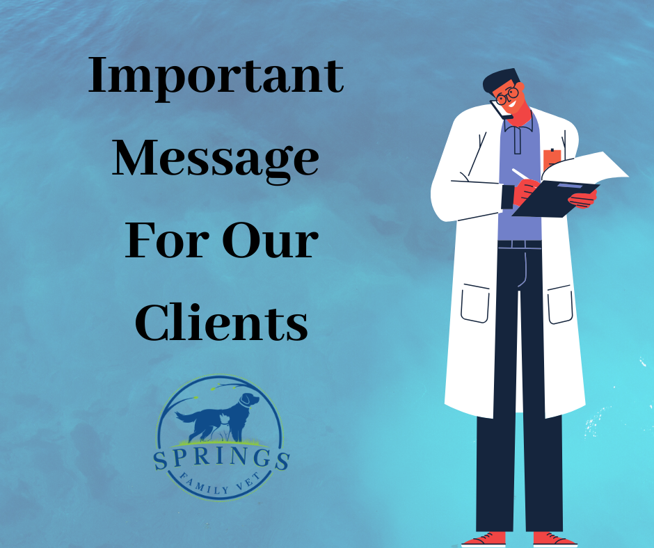 Springs Family Veterinary Hospital Saratoga Springs, NY Home